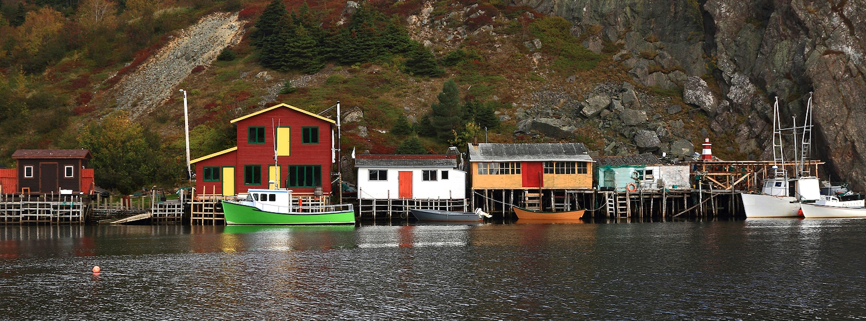 Image of Quidi Vidi