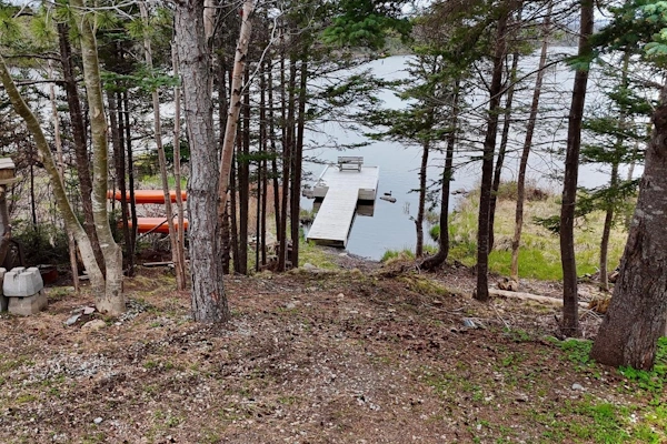 Wooded backyard with private dock and serene waterfront view in Conception Bay South.