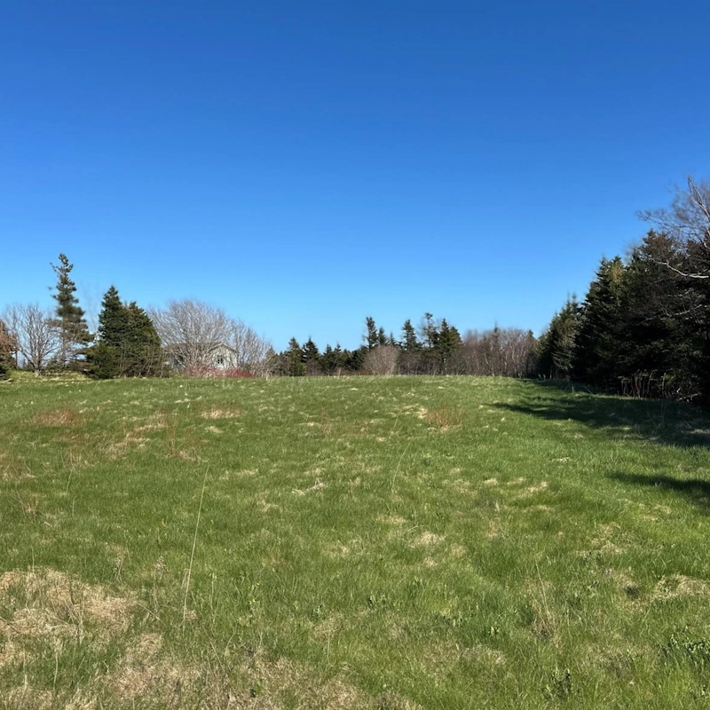 Expansive grassy lot bordered by mature trees, ideal for building a custom home in the peaceful community of Flatrock.