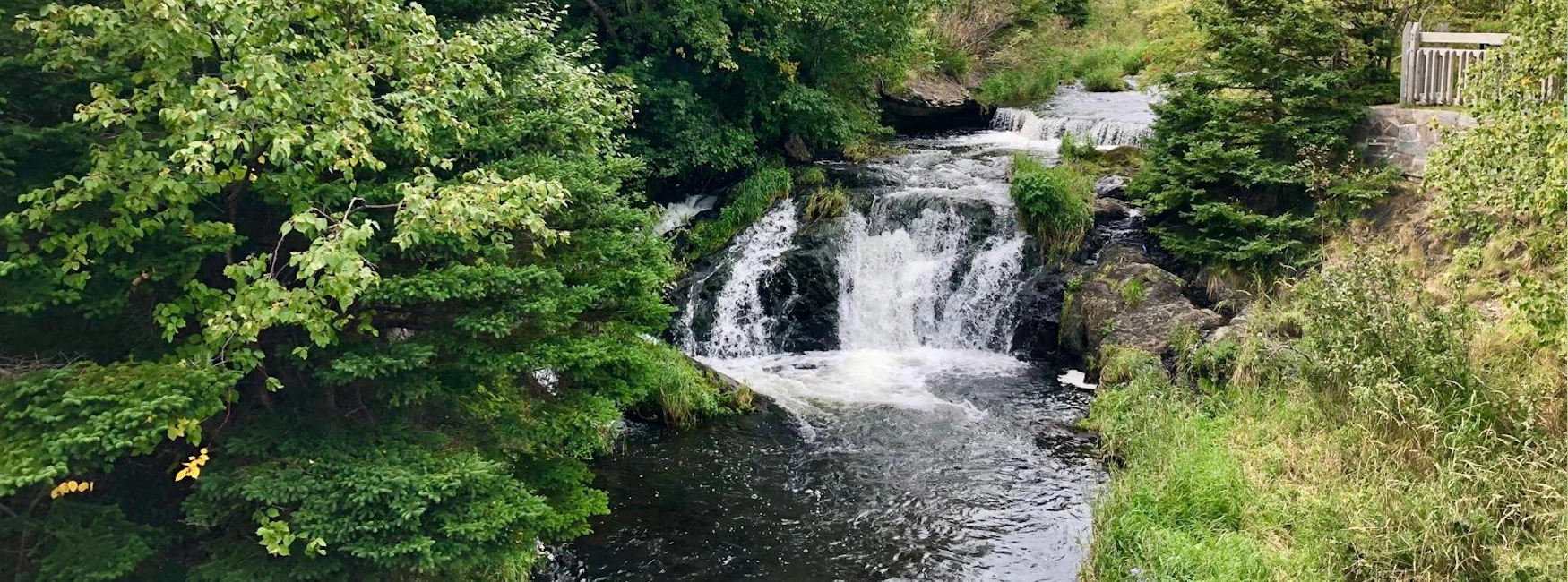 Tranquil cascading waterfall framed by lush coniferous and deciduous trees, water gently spilling over dark rocks into a small pool—one of Pleasantville’s natural highlights.