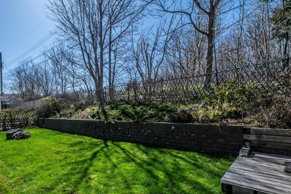 Bally Haly backyard with lush lawn, stone retaining wall, wooden bench and wooded backdrop