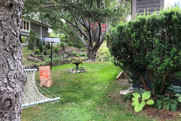 Green backyard in Churchill Park, St. John's with hammock, trees, shrubs, and a birdbath.