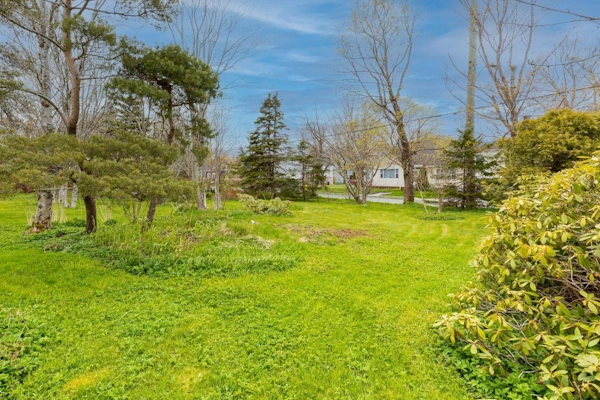 Community green space in Clovelly Trails, St. John's, showing mature trees, trimmed lawn, and single-storey homes for sale in the background